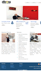 Mobile Screenshot of dboss.com